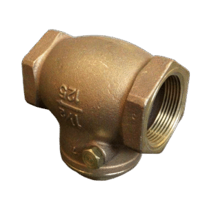 Check Valve